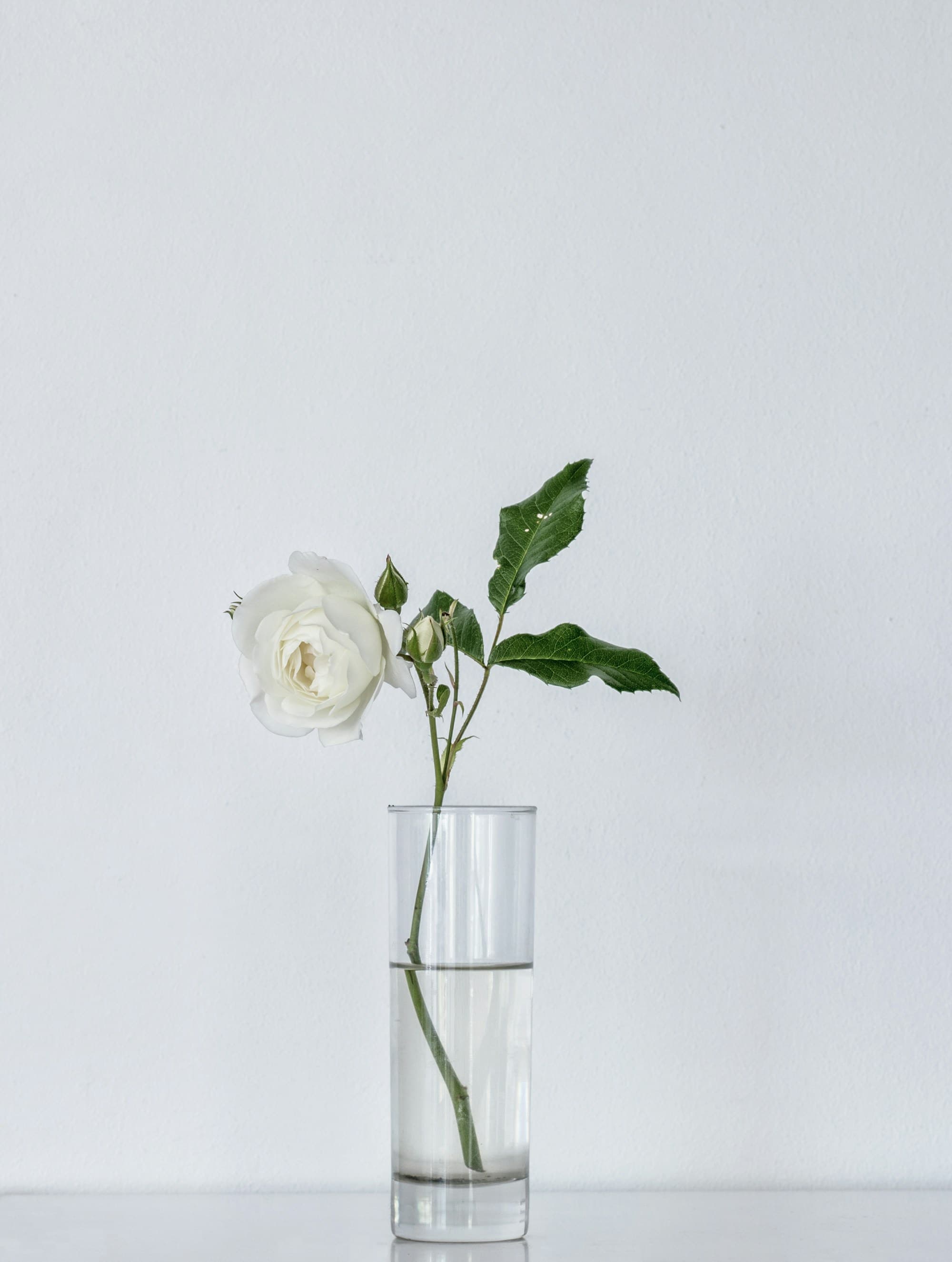 Bud vase, tall