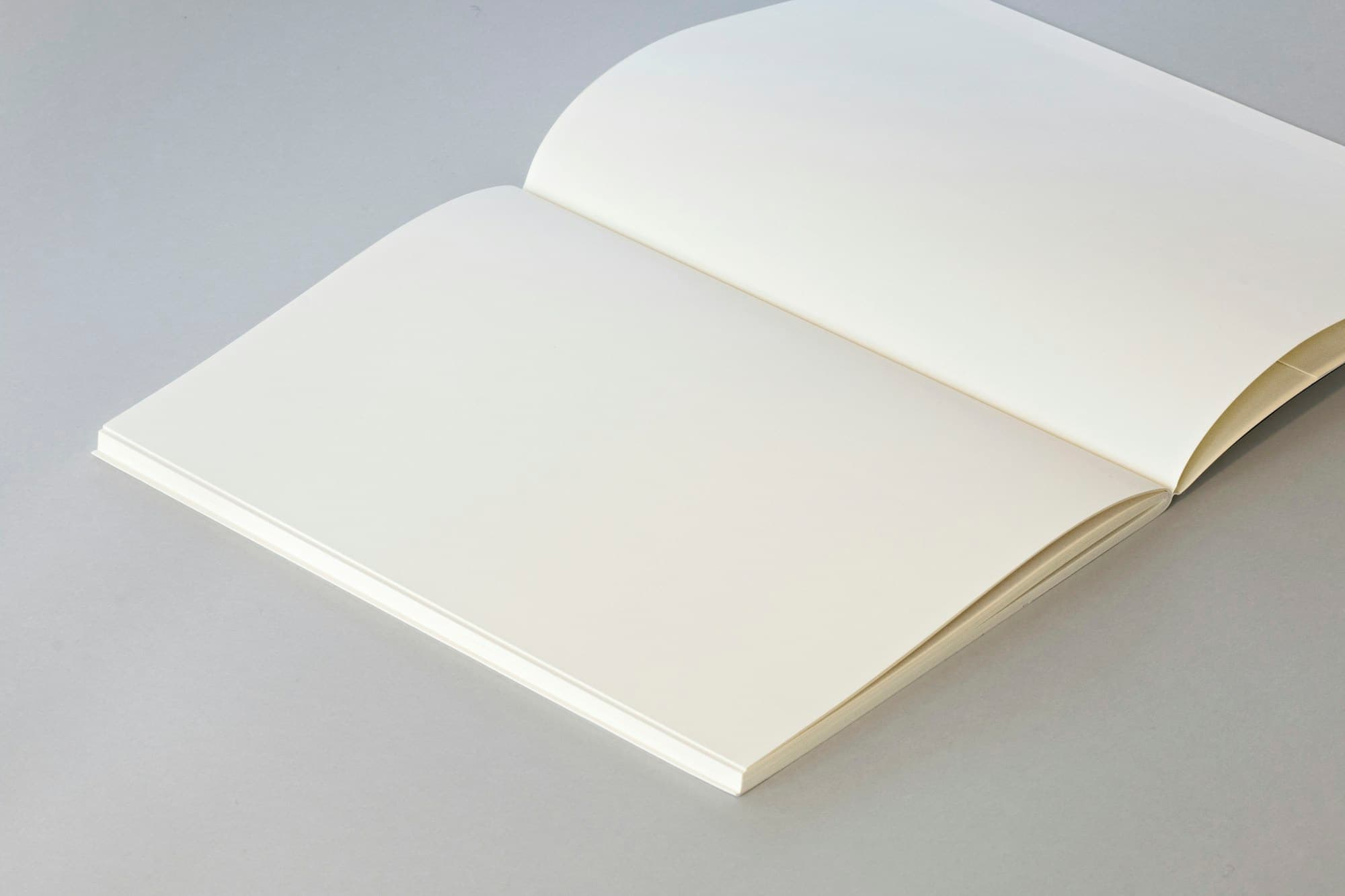 Blank book, ivory