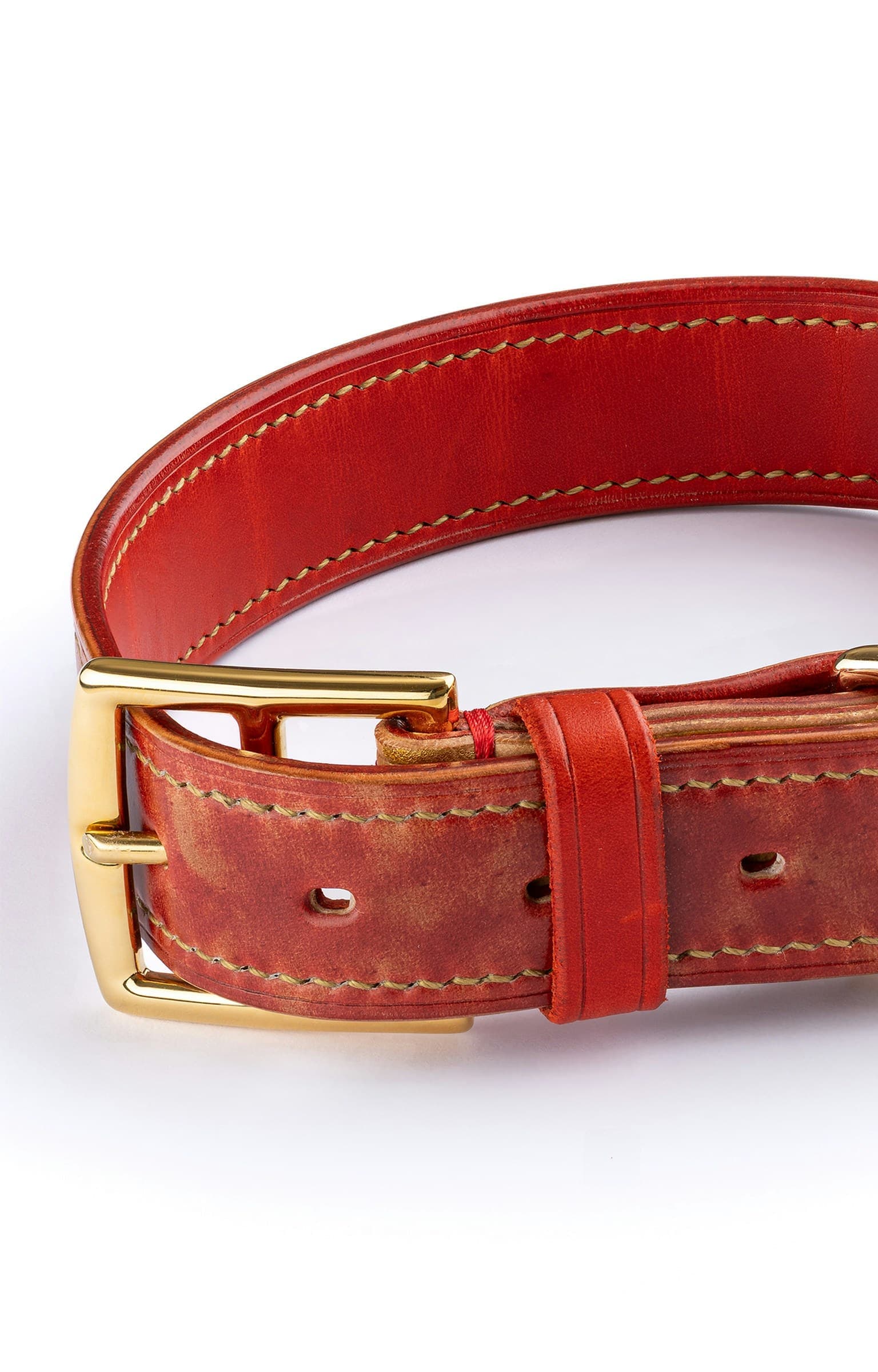 Collar, red bridle