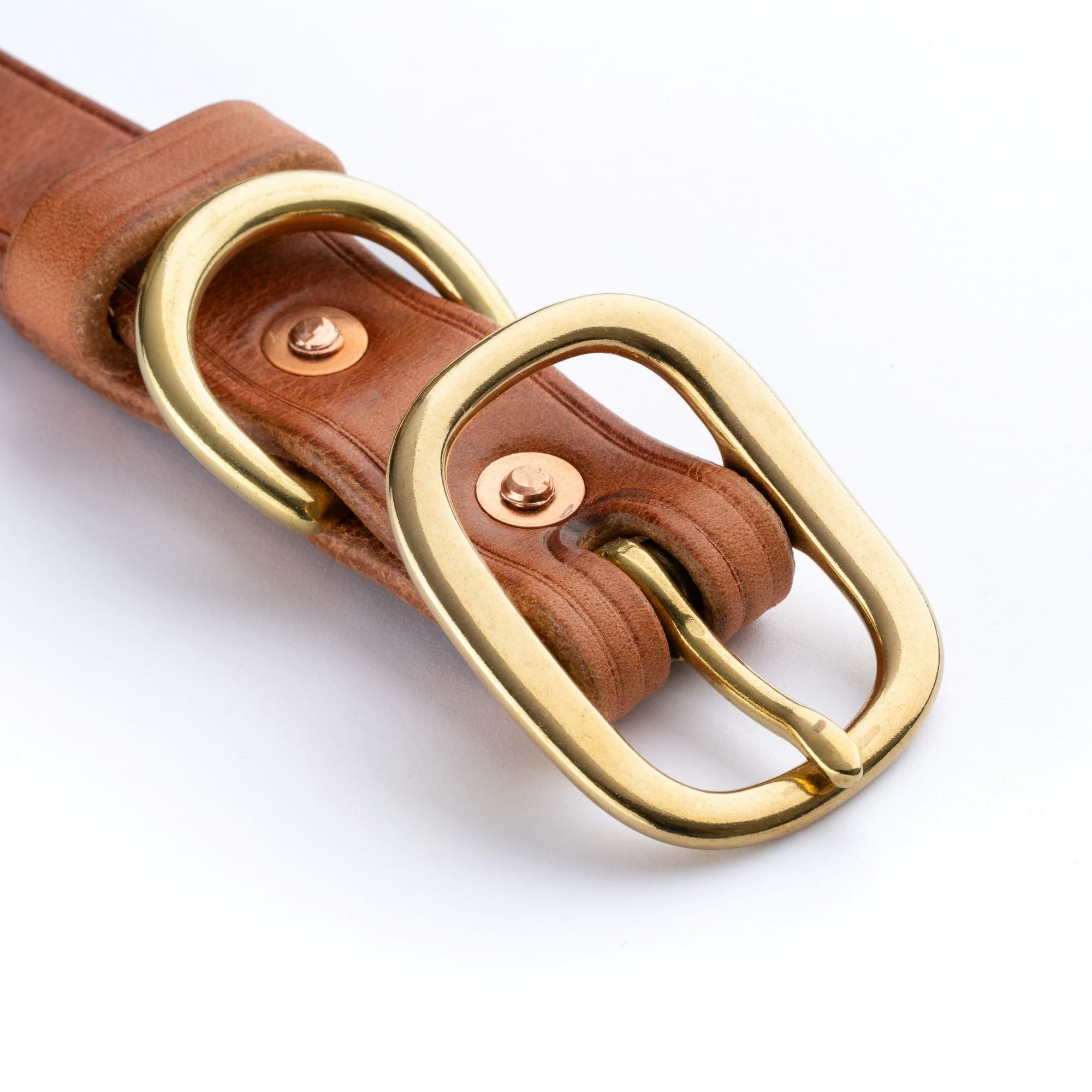 Collar, tan bridle