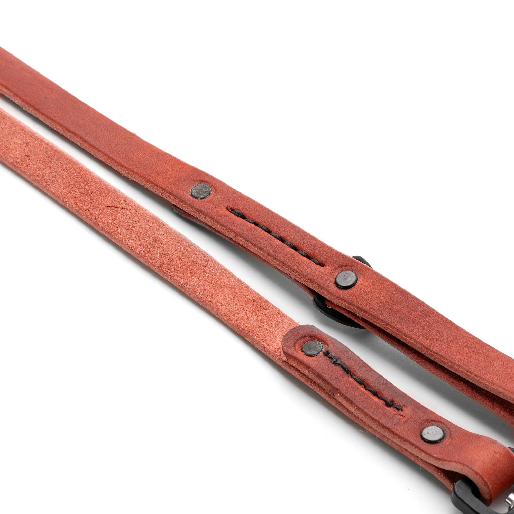 Lead, red bridle
