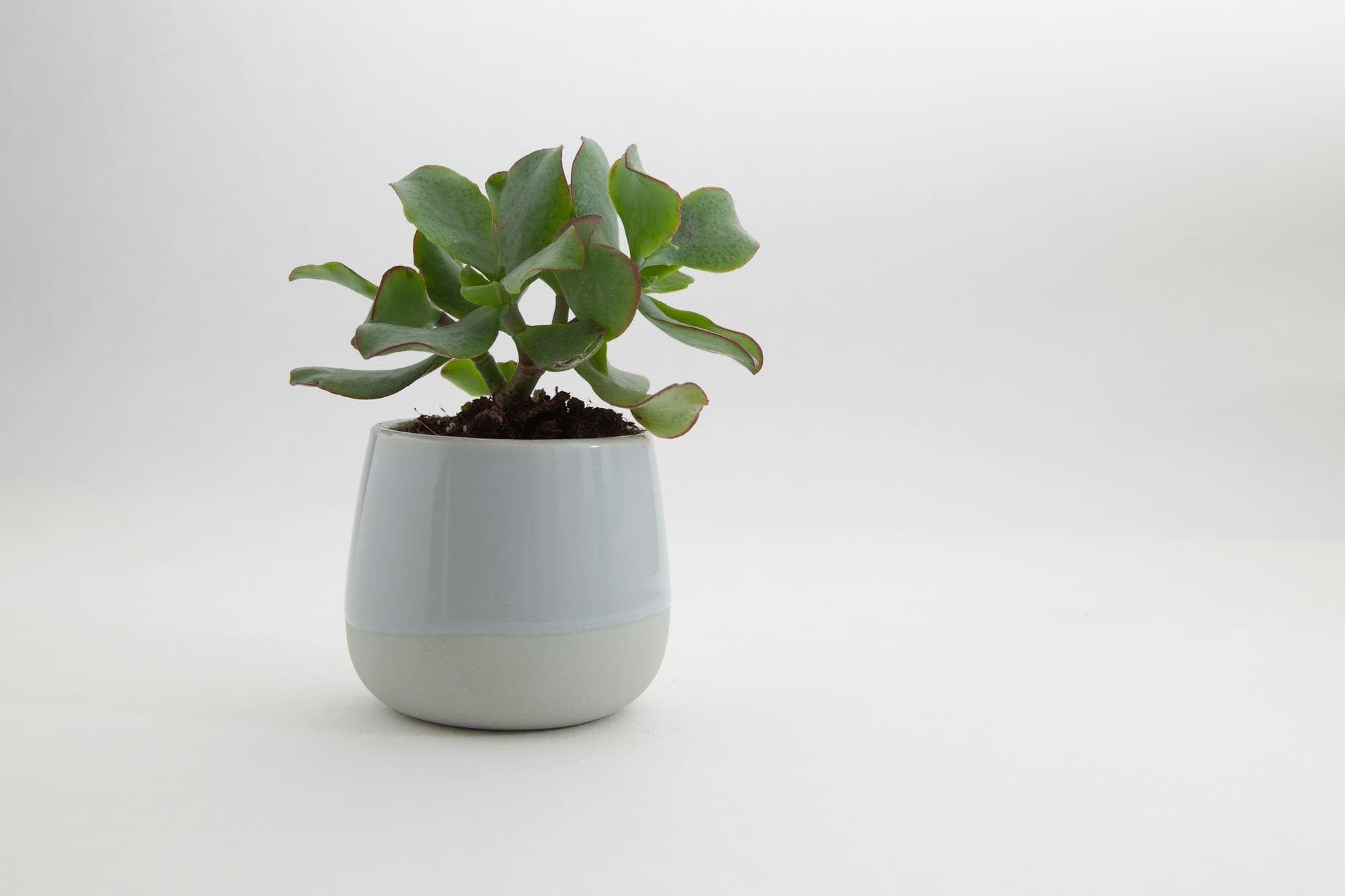 Jade
