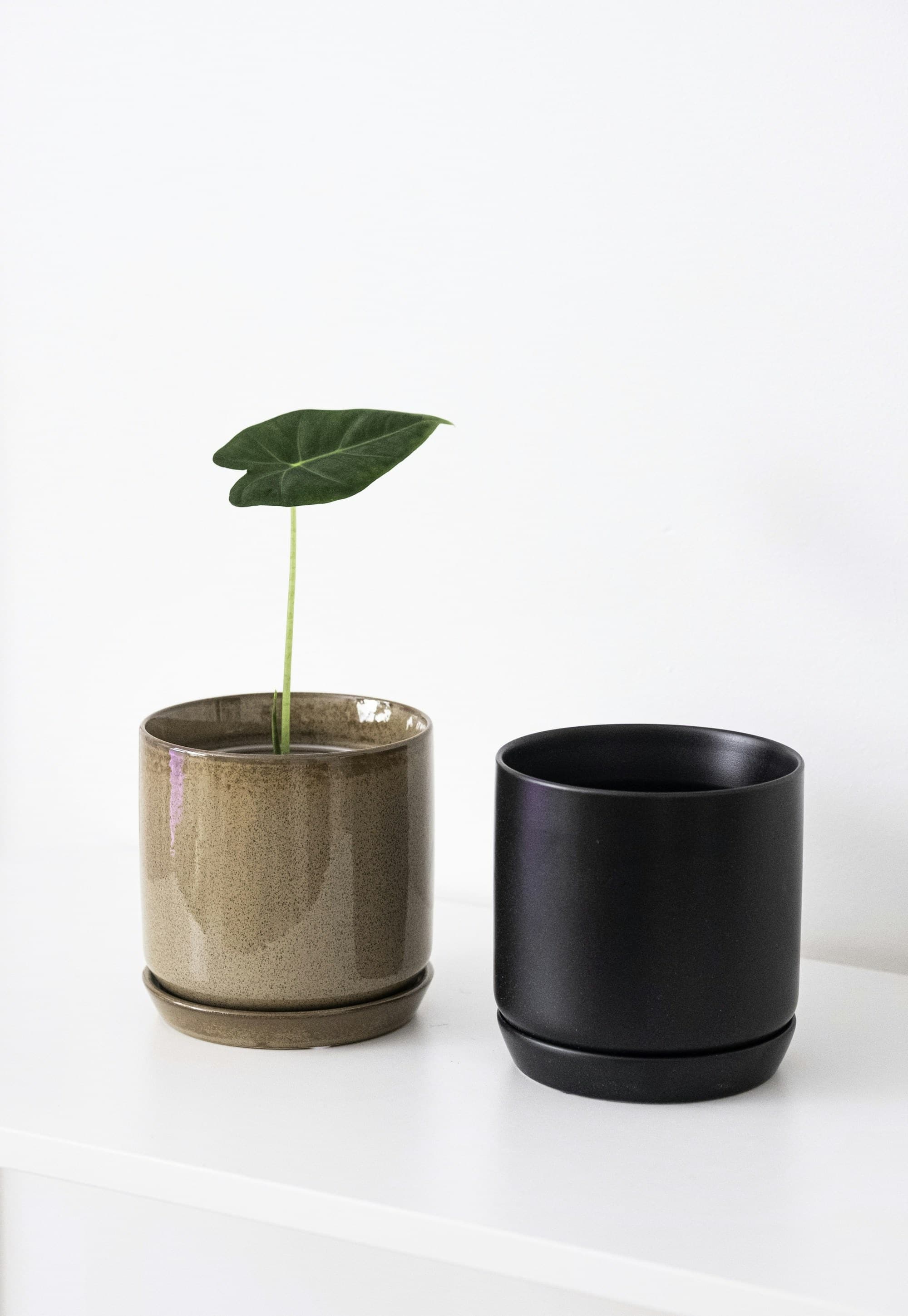 Planter, olive glaze